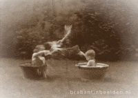 Summer Splashing GIF by Brabant in Beelden