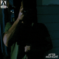 Home Alone Gotcha GIF by Arrow Video