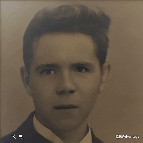 LivNews giphyupload GIF