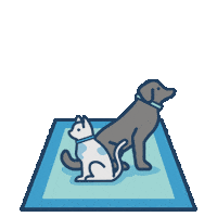 MyMagicCarpet cat dog puppy home Sticker