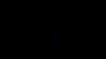 nycballet dance dream dancer ballet GIF