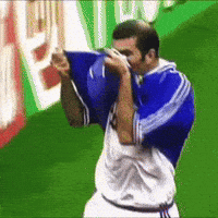 Zinedine Zidane GIF