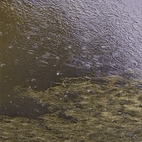 Water Waves GIF by Trevor Anderson