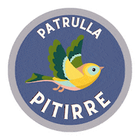 Camping Puerto Rico Sticker by Teatro Breve