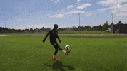 Soccer Futbol GIF by Brighton & Hove Albion Football Club