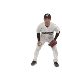 Heroes3 Sticker by Kiwoom Heroes Baseball Club