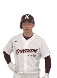 Heroes3 Sticker by Kiwoom Heroes Baseball Club