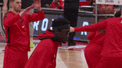 Regular Season Sport GIF by NBA