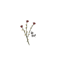 lauratova0e75 flowers goodmorning flores buenosdias Sticker