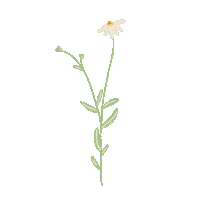 Flower Sticker by Biohotel Rupertus