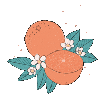 JillyjellyArt orange fruit pastel blossom Sticker