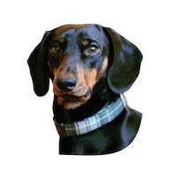 Podcast Am Sticker by Agrarmonitor