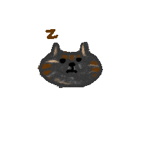 Zzz Mao Sticker