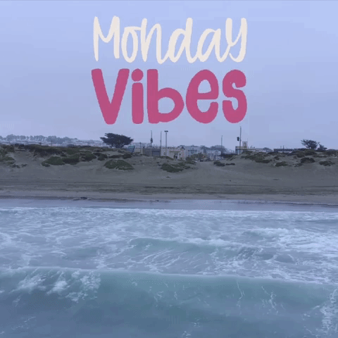 Monday Vibes