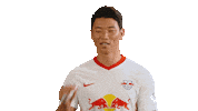 Hee Chan Hwang Lol Sticker by RB Leipzig
