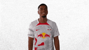 Football Smile GIF by RB Leipzig