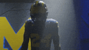 Go Blue Michigan Football GIF by Michigan Athletics