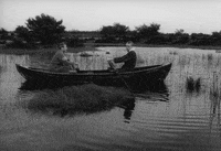 ingmar bergman gunnar bjrnstrand GIF by Maudit