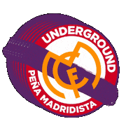 PMUnderground underground pmunderground Sticker