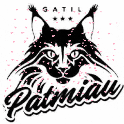 GatilPatmiau giphygifmaker giphygifmakermobile GIF