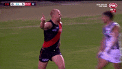 2018 season football GIF by AFL