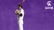 Baseball Warriors GIF by WinonaStateATH