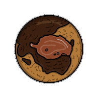 Snack Cookie Sticker