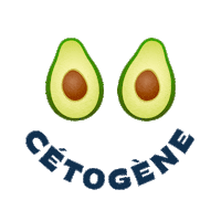 cetococotte keto low carb ketogenic lchf Sticker