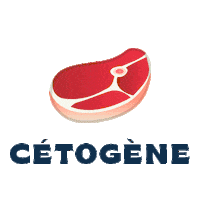 cetococotte keto low carb ketogenic lchf Sticker