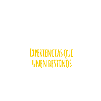 DazzlerByWyndham turismo vacaciones viajes hoteles Sticker