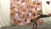 Cuc GIF by CUCougars