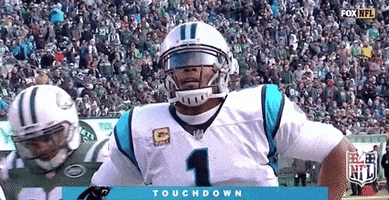 Carolina Panthers Football GIF by NFL