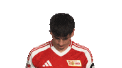 Look Up Union Berlin Sticker by Bundesliga