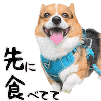 Corgi Milo Sticker
