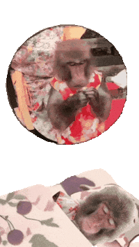 Good Night Fun Sticker