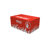 BIRDCODE hot chicken birdcode Sticker
