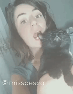 cat love GIF