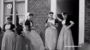omroepzeeland  GIF