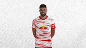 Football Sport GIF by RB Leipzig