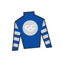 Horse Racing Sticker by Kentucky Derby
