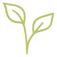 No Planet B Plant Sticker by Sustainable Choice
