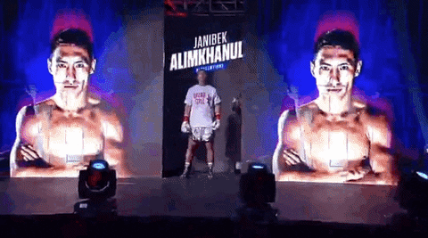 toprank giphyupload fight boxing fighting GIF
