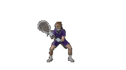 Lacrosse Ppp Sticker by Albion College