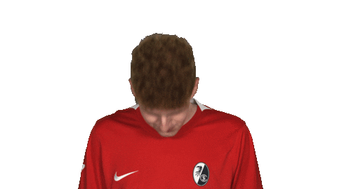 Look Up Sc Freiburg Sticker by Bundesliga
