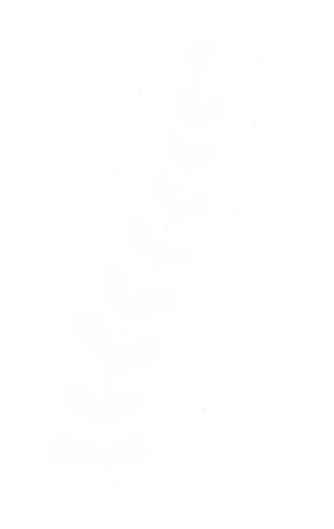 Plant Line Sticker