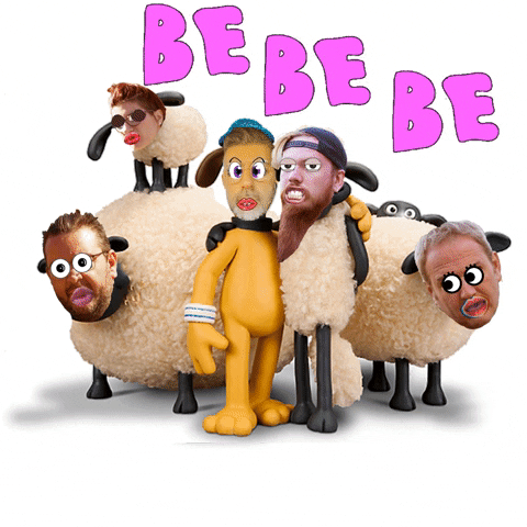 Sheeps Bebebe GIF by Stefan Fashion