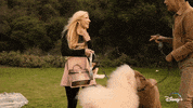 Jeff Goldblum Dogs GIF by National Geographic Channel