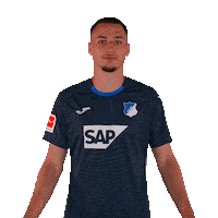 Sport Bundesliga Sticker by TSG Hoffenheim
