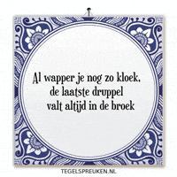 Humor Nl GIF by Tegelspreuken.nl