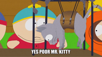 Poor Mr. Kitty